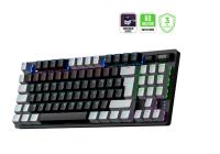 GAMEPOWER EVA 5 BLUE SWITCH 88 MEKANİK KLAVYE RBW